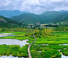 [“南海之夢”郵輪三晚四天西沙航線]“南海之夢”號上共有餐飲、購物、娛樂、保障等四大功能區。另配有自助洗衣